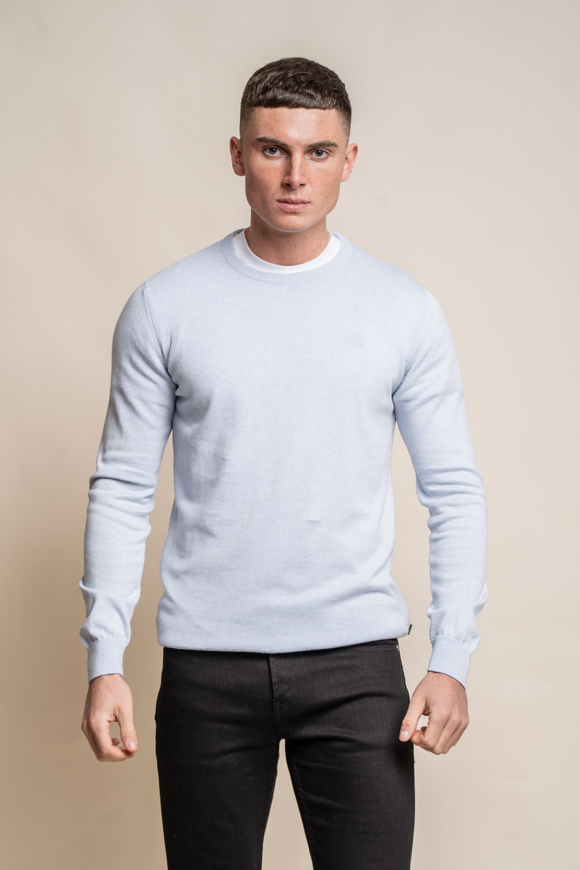 Men’s cotton crewneck jumper, slim fit, lightweight