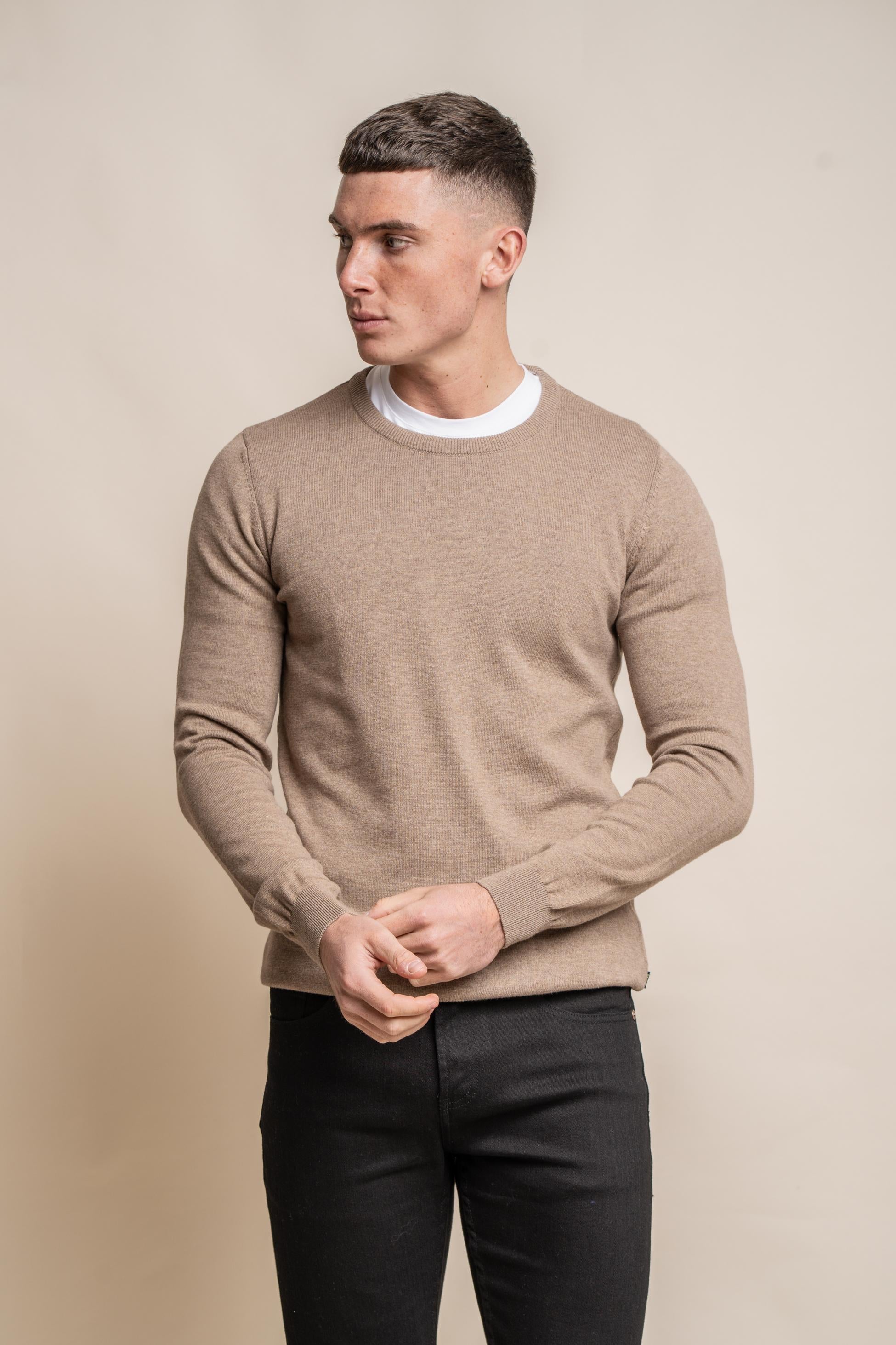 Men’s cotton crewneck jumper, slim fit, everyday wear