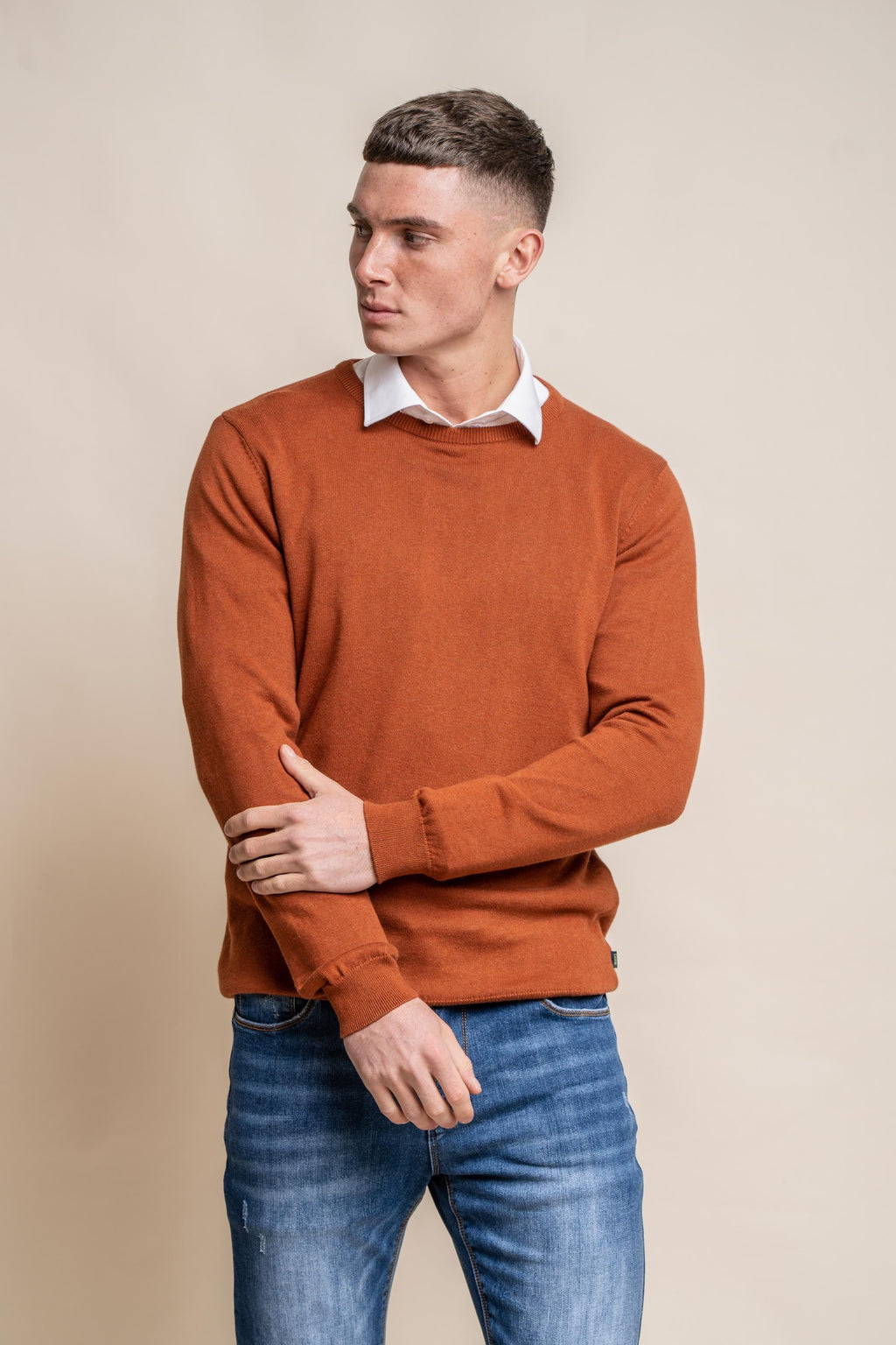 Men’s cotton crewneck jumper, slim fit, modern basic