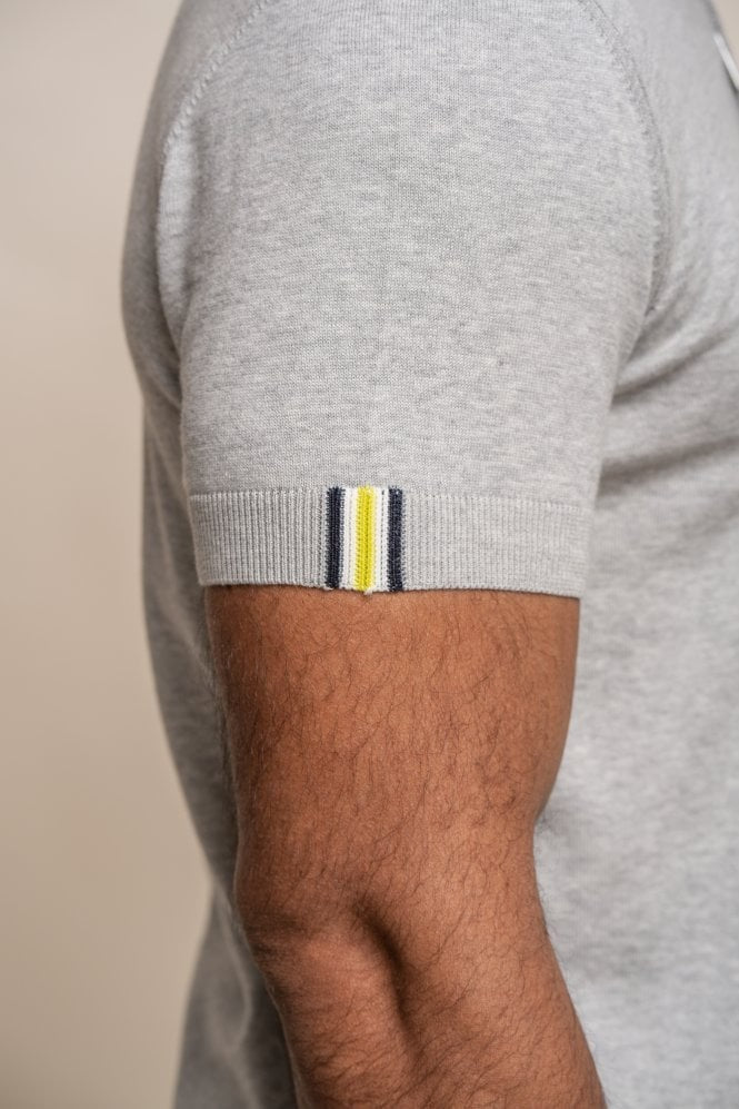 Mens Grey Short Sleeve Cotton Polo Shirt DINO